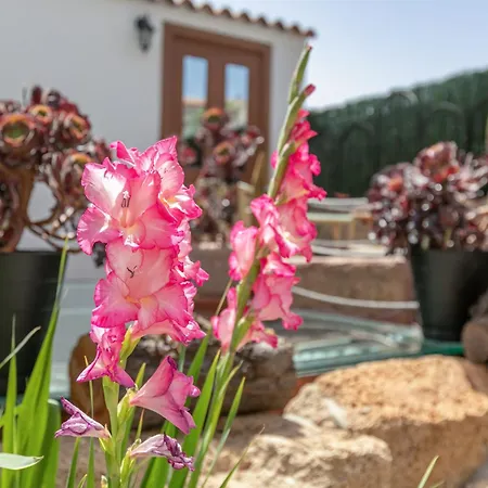 Casa Tajinaste